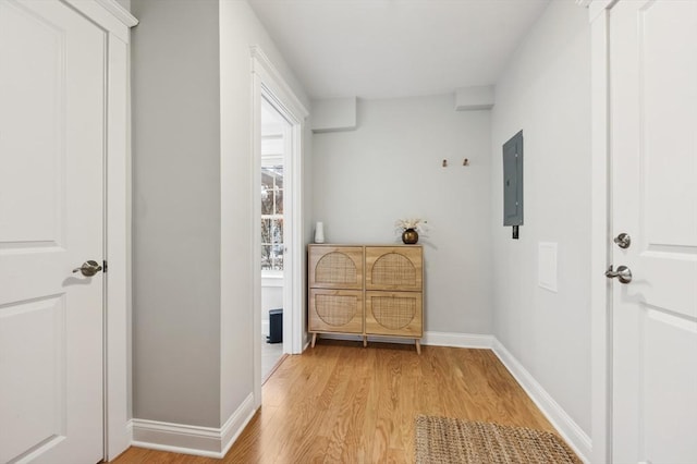 hallway featuring electric panel and light wood-type flooring