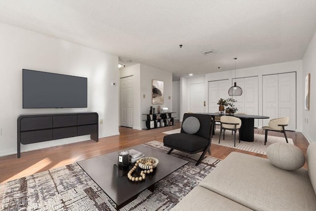 living room with hardwood / wood-style floors