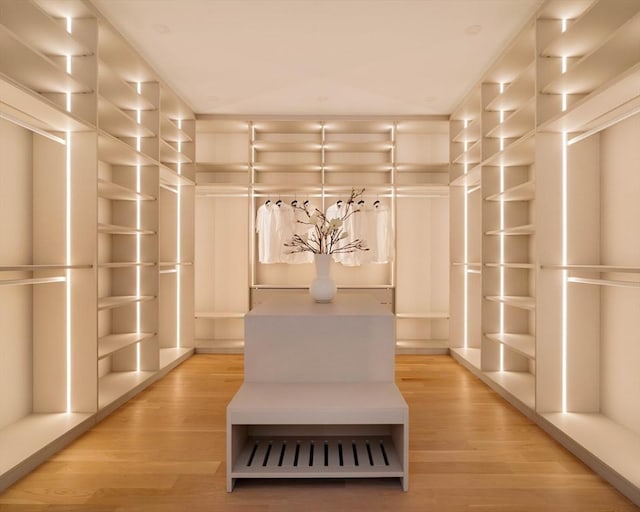 95 Blake St, Newton, MA 02460 - walk in closet featuring light wood-style flooring