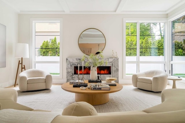 95 Blake St, Newton, MA 02460 - sitting room featuring a premium fireplace, plenty of natural light, beamed ceiling, and coffered ceiling