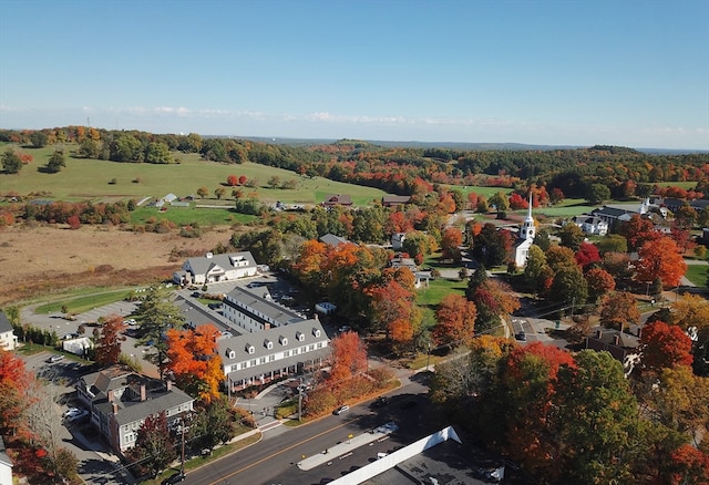 drone / aerial view