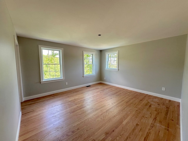 spare room with light wood-type flooring and a wealth of natural light