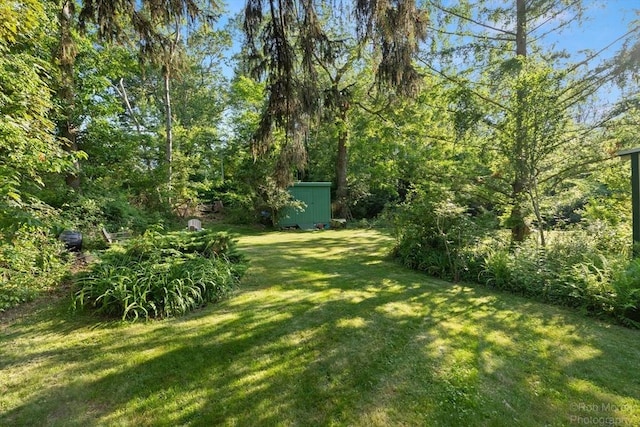 11 Hickory St, Gloucester, MA 01930 - view of green lawn featuring a shed