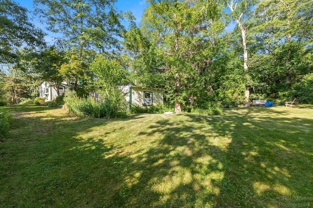 11 Hickory St, Gloucester, MA 01930 - view of green lawn