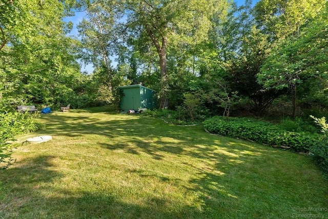 11 Hickory St, Gloucester, MA 01930 - view of green lawn featuring a storage shed
