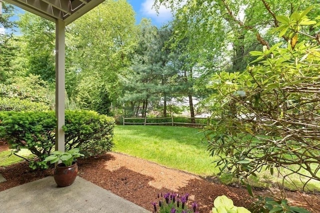 25 Valiant Way Unit 25, Salem, MA 01970 - view of green lawn