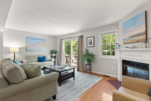 25 Valiant Way Unit 25, Salem, MA 01970 - living room featuring baseboards, hardwood / wood-style flooring, and a fireplace with flush hearth