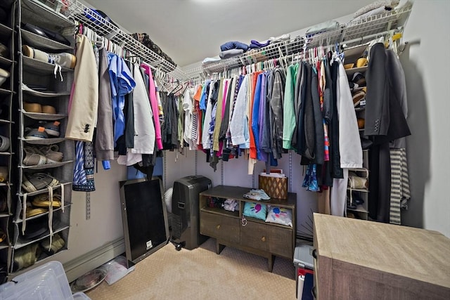 spacious closet featuring carpet