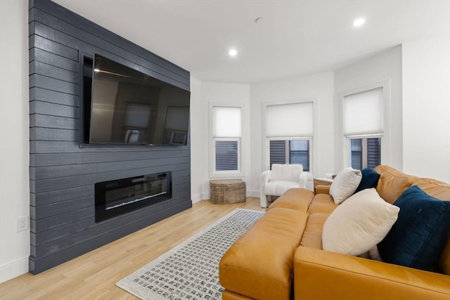 living room featuring a large fireplace and light hardwood / wood-style flooring