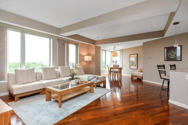 living room featuring dark hardwood / wood-style flooring