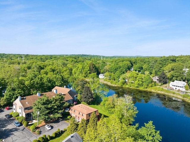 212 Washington St Unit 212, Canton, MA 02021 - bird's eye view of a heavily wooded area and a nearby body of water