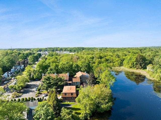 212 Washington St Unit 212, Canton, MA 02021 - bird's eye view of a forest and a large body of water