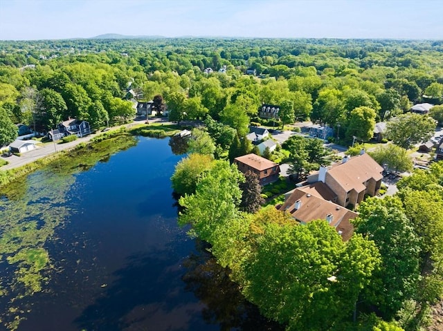 212 Washington St Unit 212, Canton, MA 02021 - aerial view of a large body of water and a forest