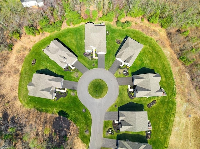 drone / aerial view