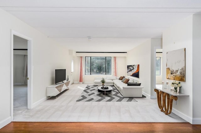 living room with baseboards, light colored carpet, and light wood-style floors