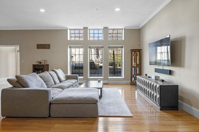 living room featuring light hardwood / wood-style floors and crown molding