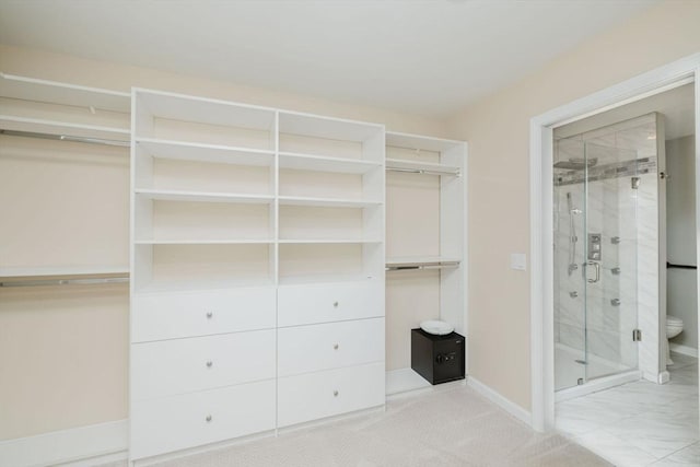9 Mount Hope St, North Attleboro, MA 02760 - view of walk in closet