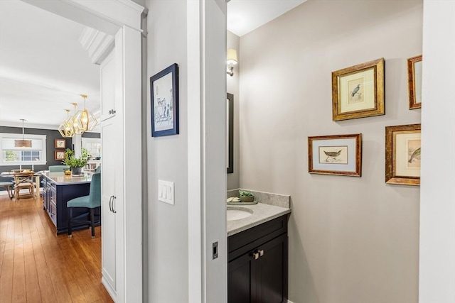 bathroom with vanity and wood-type flooring