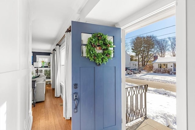 entryway featuring a barn door and light wood-type flooring