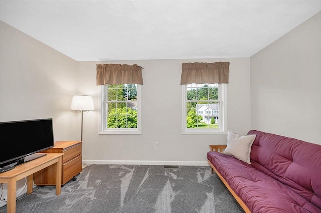 living area featuring baseboards and carpet
