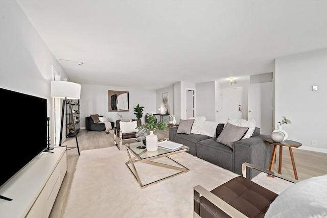 living room with light wood-type flooring