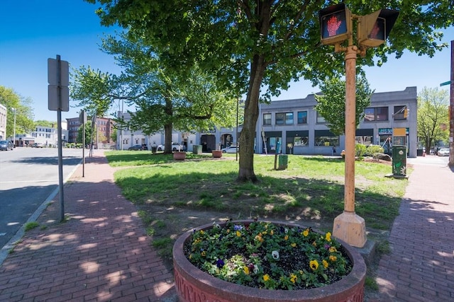 140 Chestnut St Unit 606, Springfield, MA 01103 - view of property's community with a lawn