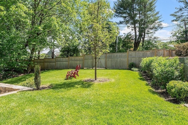 196 Elm St, Concord, MA 01742 - view of fenced backyard