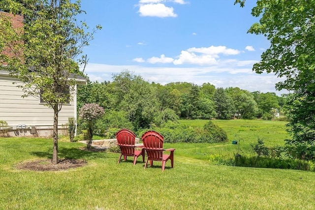 196 Elm St, Concord, MA 01742 - view of green lawn