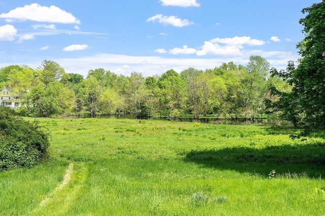 196 Elm St, Concord, MA 01742 - view of tree filled area