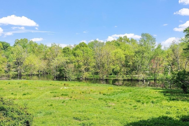 196 Elm St, Concord, MA 01742 - view of yard featuring a wooded view and a water view