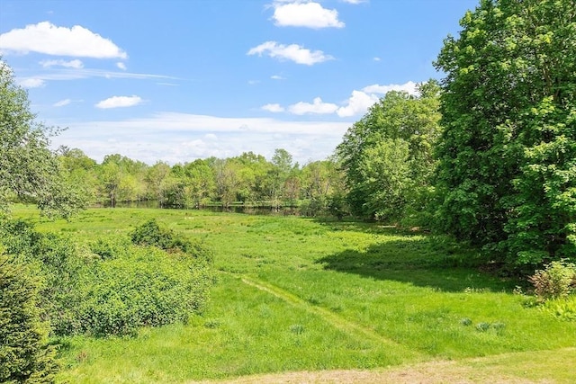 196 Elm St, Concord, MA 01742 - view of tree filled area