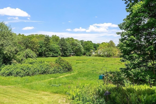 196 Elm St, Concord, MA 01742 - view of tree filled area