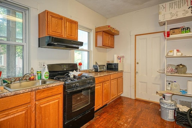 kitchen featuring dark hardwood / wood-style flooring, black appliances, plenty of natural light, and sink