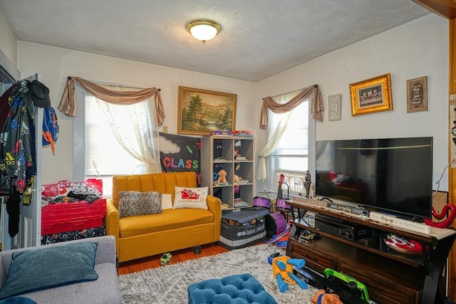 playroom featuring plenty of natural light, wood-type flooring, and a textured ceiling