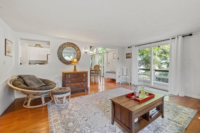 living room featuring baseboards and wood finished floors