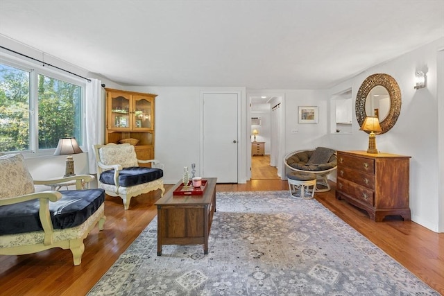 living area featuring wood finished floors