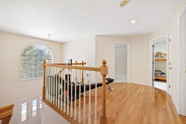 hall featuring wood-type flooring