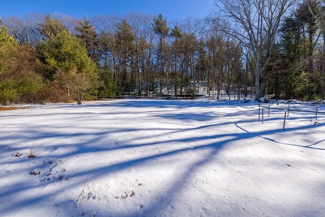 view of yard covered in snow