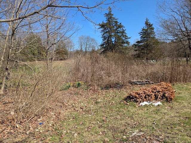 view of nature