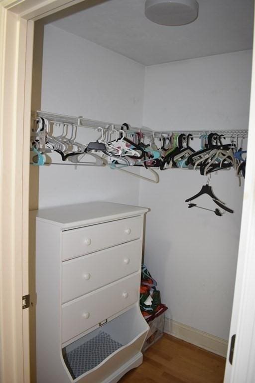 spacious closet featuring wood finished floors