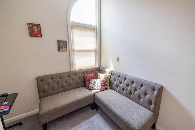27 Harrison St Unit C, Boston, MA 02131 - sitting room featuring carpet
