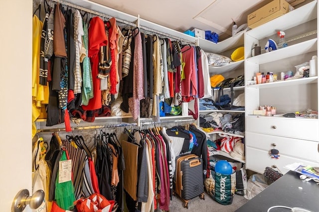 27 Harrison St Unit C, Boston, MA 02131 - spacious closet with attic access and carpet floors