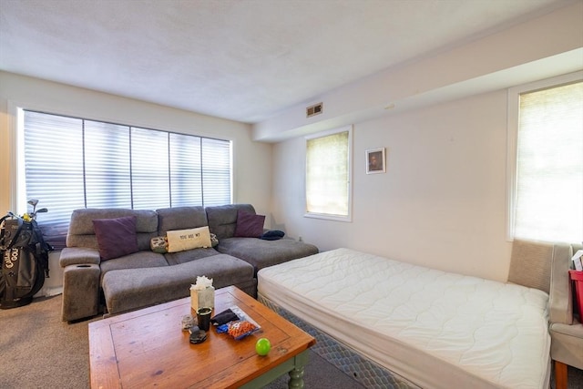 27 Harrison St Unit C, Boston, MA 02131 - living room featuring carpet floors
