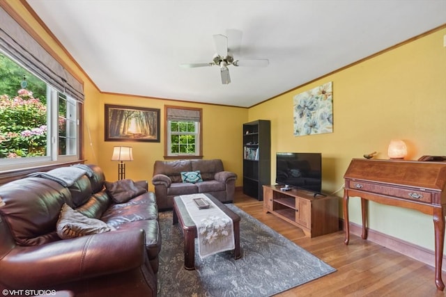 157 Hall St, Mansfield, MA 02048 - living area with wood finished floors, ceiling fan, ornamental molding, and baseboards