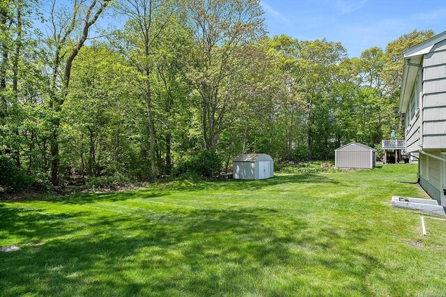 view of grassy yard with a shed and an outbuilding