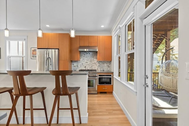 kitchen featuring hanging light fixtures, tasteful backsplash, appliances with stainless steel finishes, and light wood-type flooring