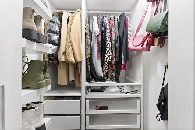 view of spacious closet