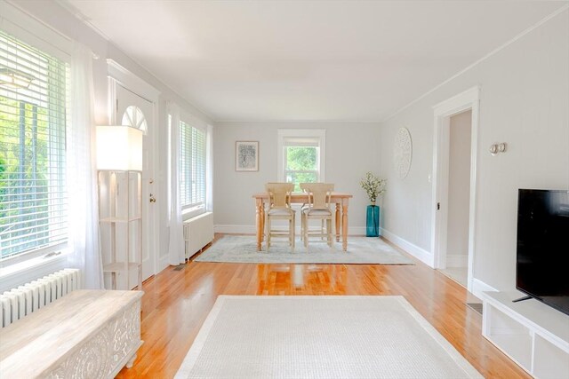 99 Oak St, North Attleboro, MA 02760 - dining room featuring radiator heating unit, light wood-style flooring, radiator, and crown molding