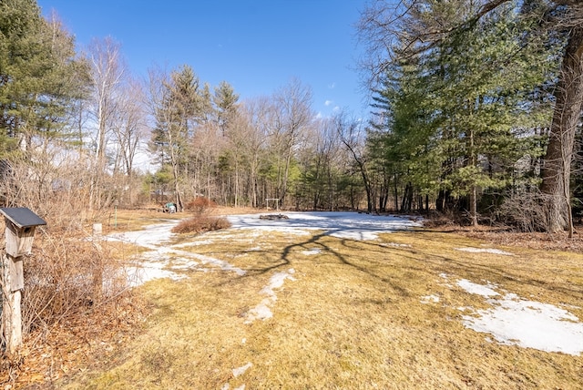 view of yard with a view of trees