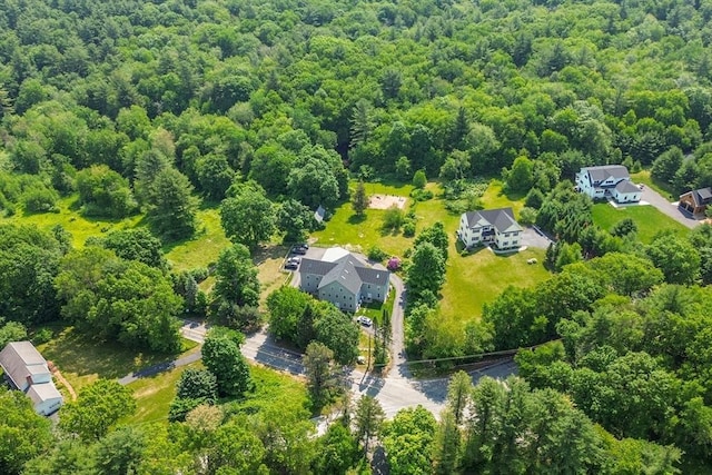 166 Littleton Unit 3, Harvard, MA 01451 - bird's eye view of a heavily wooded area